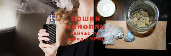 прущие грибы Наволоки