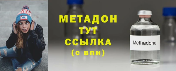 прущие грибы Наволоки