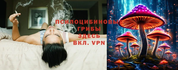скорость Аркадак